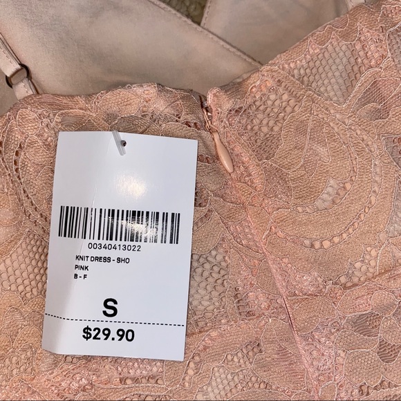 NWT Blush Ruffle Bottom Lace Dress - Picture 6 of 6